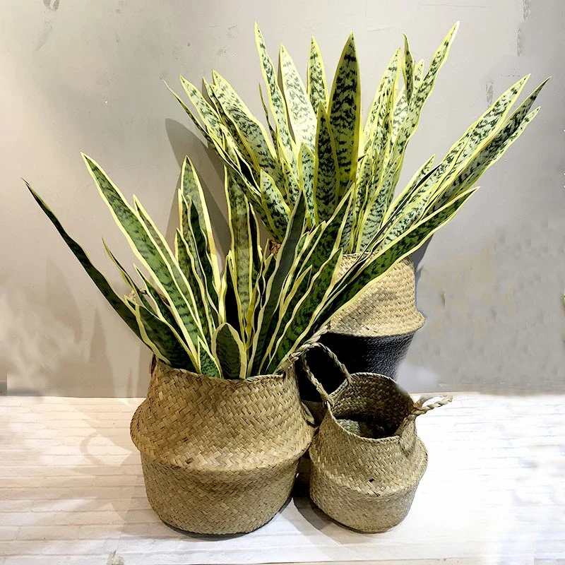 Artificial Tiger Skin Orchid Agave Succulent Simulated Green Plant for Home Living Room Decoration Indoor Outdoor Party Bonsai