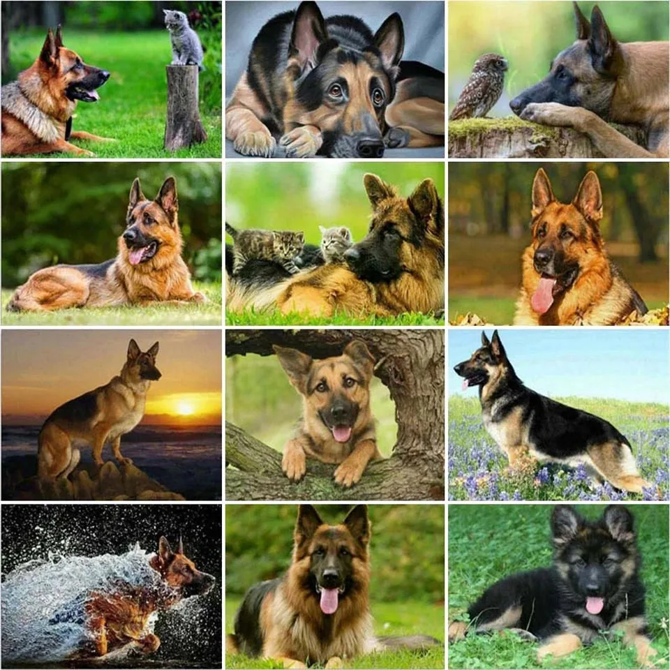 DIY 5D Diamond Painting German Shepherd Full Square Round Drill Animal Dog Pet Diamond Embroidery Cross Stitch Mosaic Home Decor