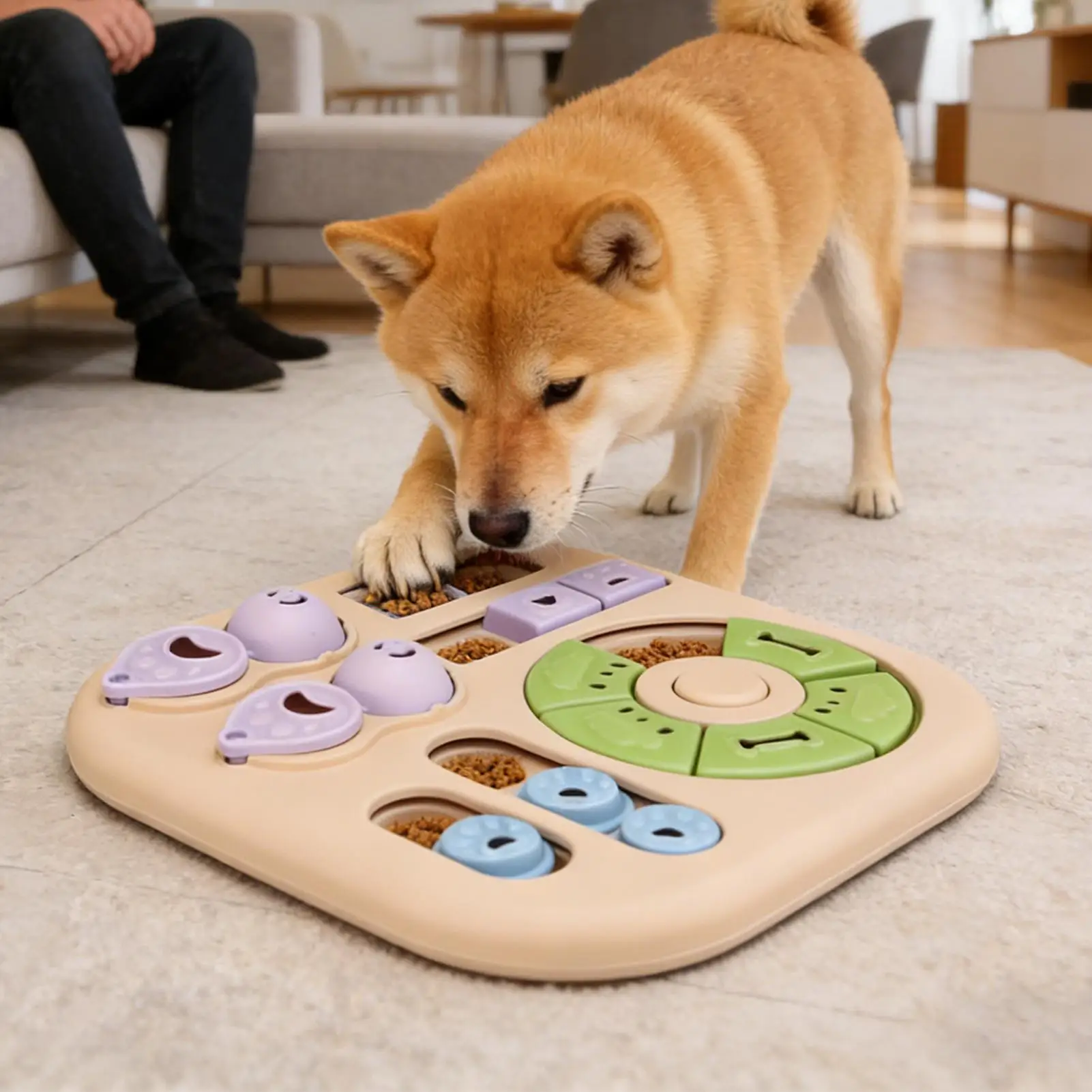 #75 Top Puppy Puzzle Toys Picks for Every Budget