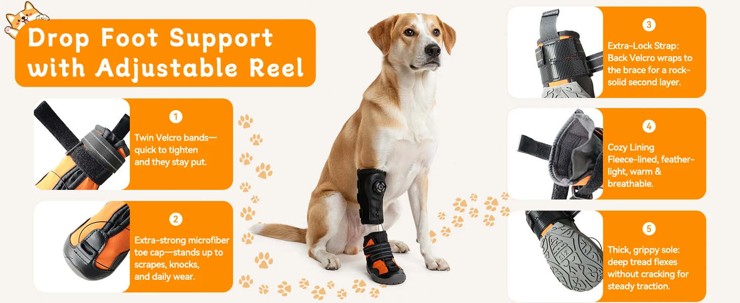 toe grips for dogs
