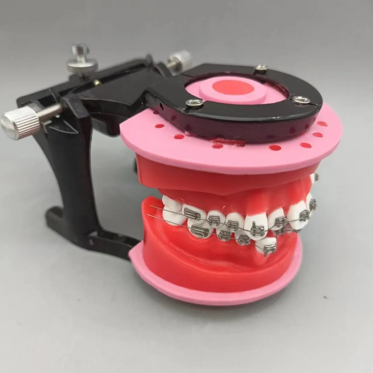 Orthodontic Practice Model Gingival Wax Dike Arch Wire Bending Oral Model Orthodontic Model Dental