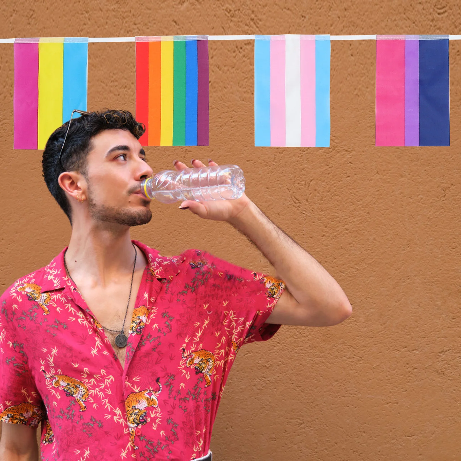 فخر سلسلة العلم قوس قزح الديكور لوازم الحفلات تصميم إبداعي بسيط جدار الباب نافذة السقف ديكور