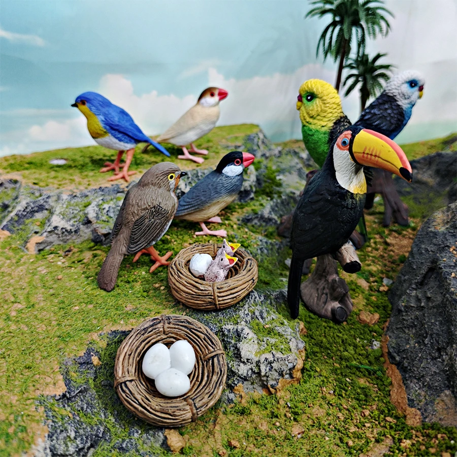 واقعية جافا سبارو روبن الببغاء الطوقان الطيور دورة نمو الحياة نموذج الشكل التعليمية ألعاب حيوانات الحلي لحديقة الجنية #3