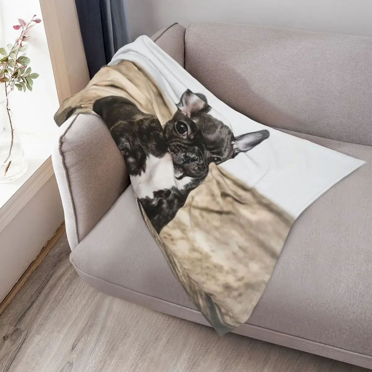 بطانية رمي جرو بولودج الفرنسية لفصل الشتاء أنعم بطانيات سرير أريكة مشعرة #3