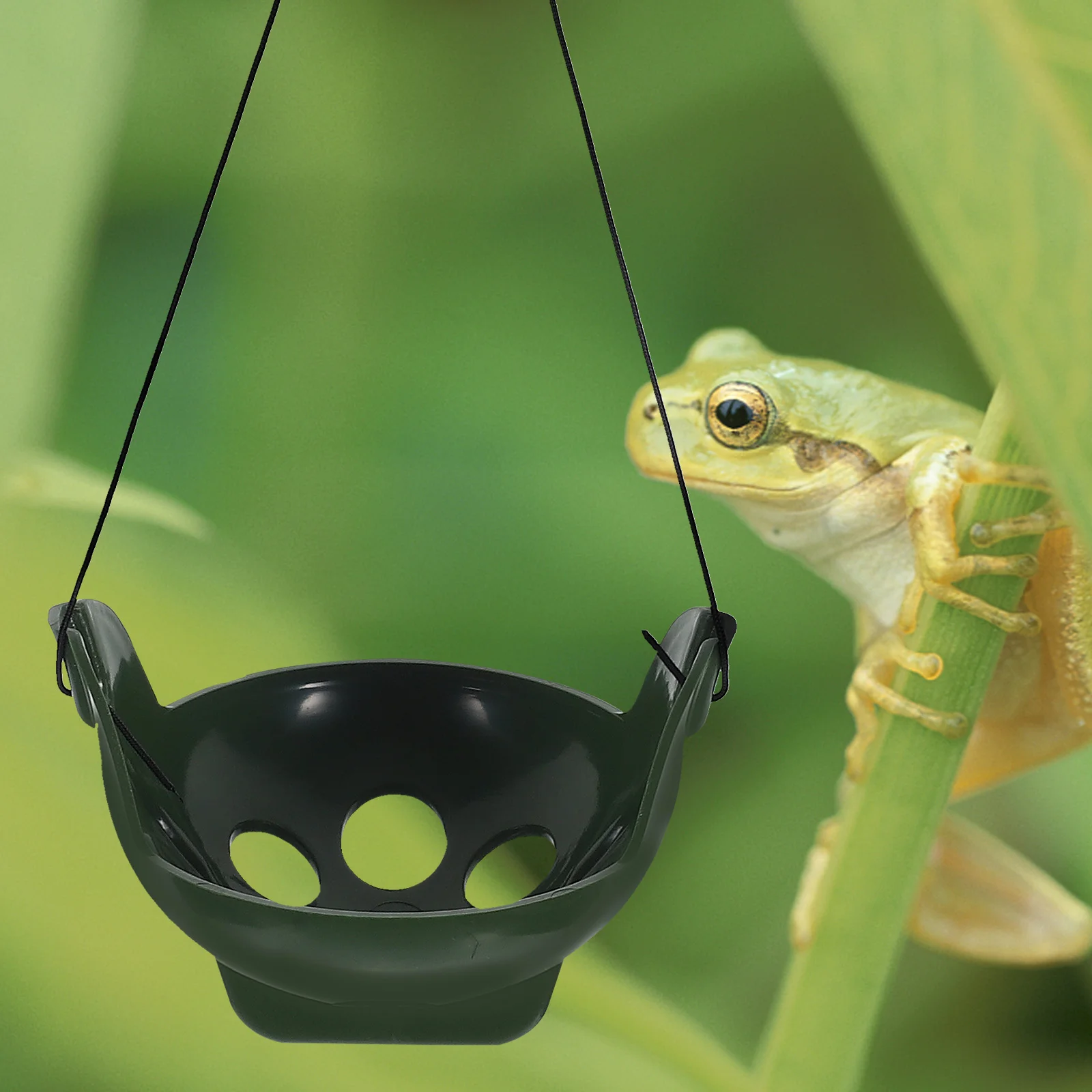 

Aquatic Frog Habitat Green Reptile Rest Platform Durable Terrarium Supply Amphibians Shelter Small Creatures Pet Accessories