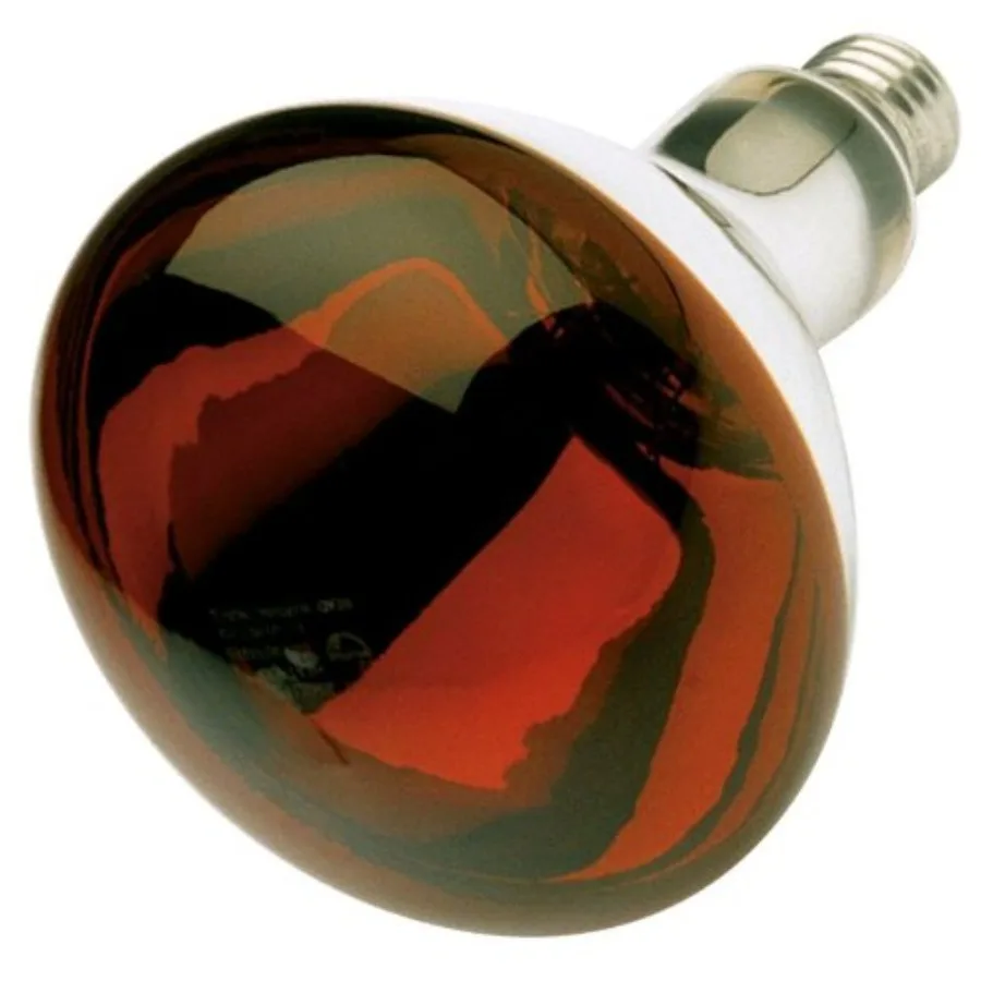 6 Pack S4998 250 Watt Red Infrared Weather Proof Heat Lamp Bulb with Medium Base