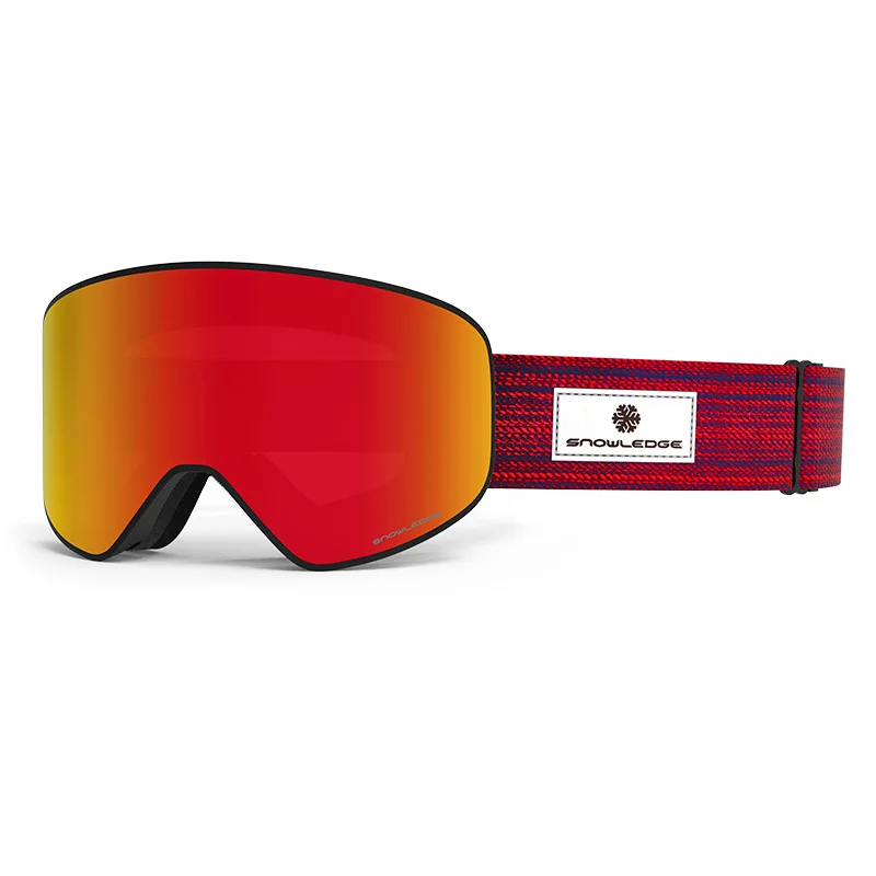 

Professional Ski Goggles Price