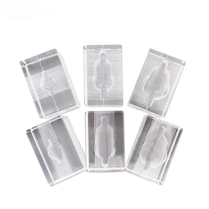 Universe Grocery Store Mice, Spinal Cord, Brain, Heart, Stainless Steel Slicing Mold, Acrylic Spacing 1mm, 0.5mm
