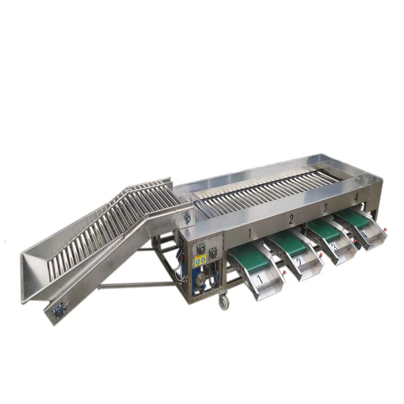Stainless Steel Fruit and Vegetable Sorting Grading Machine for Fruit Processing Plant Eco-Friendly Used Condition