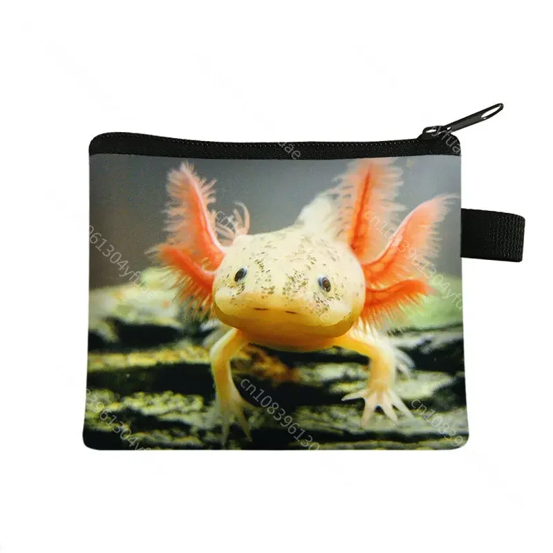 Kawaii Cartoon Gamesolotl Gamer Coin Bags Axolotl borse da donna piccola borsa ragazzi ragazze portamonete porta carte di credito borsa per soldi