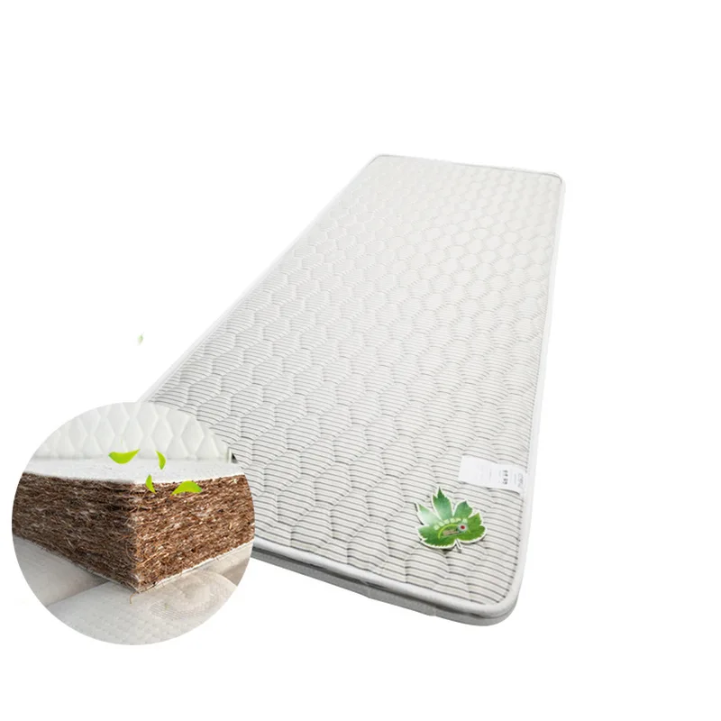 Upper and lower bunk iron bed coconut palm matching mattress 3cm thick 5cm 22cm thick mattress