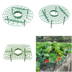 Strawberry Stand Frame Holder Balcony Planting Rack Fruit Support Plant Flower Climbing Vine Pillar Gardening Stand