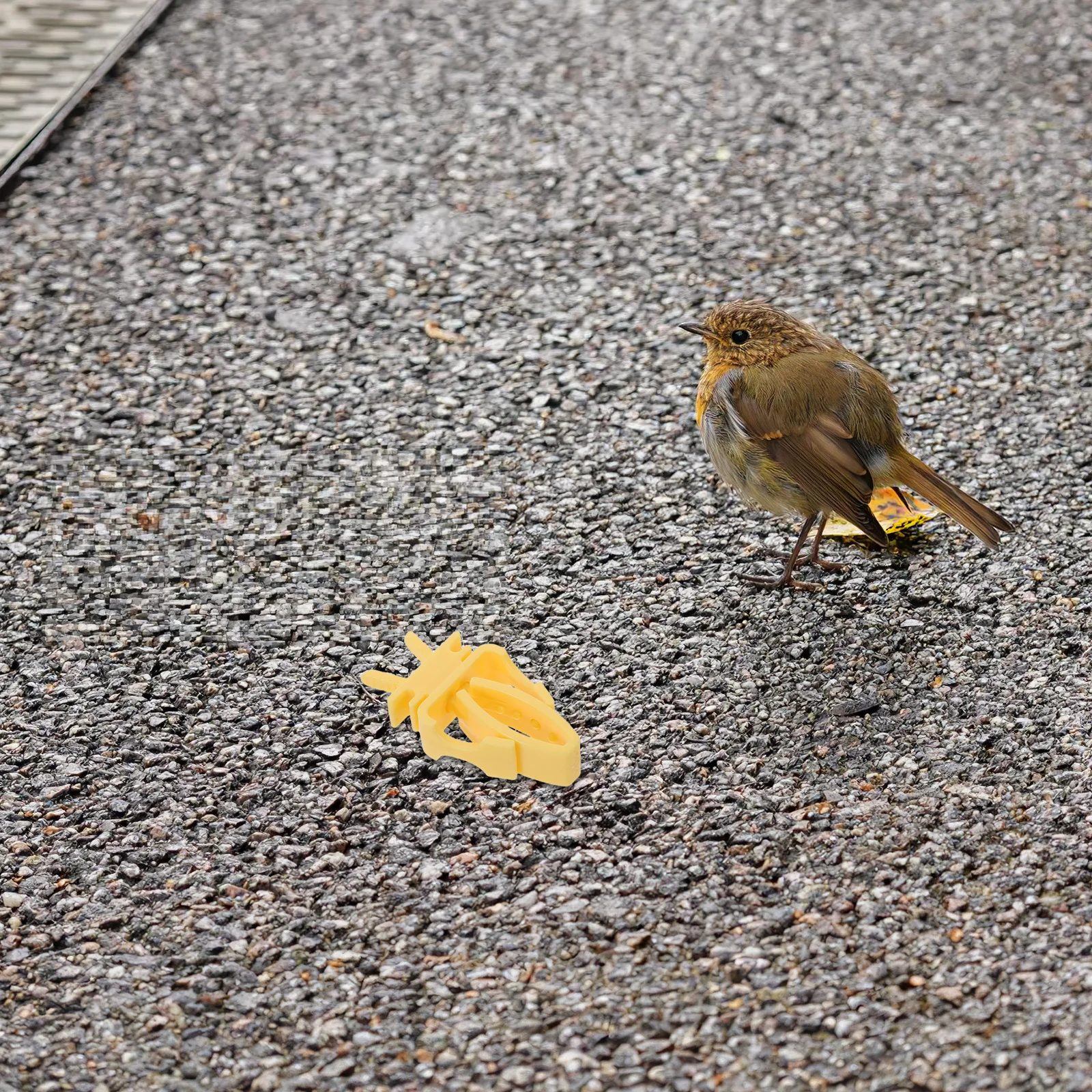 

10Pcs Bird Cage Fruit Holder Sturdy Parrot Vegetable Clips Cockatiel Budgie Macaw Cage Feeder Clip for Treats Feeding