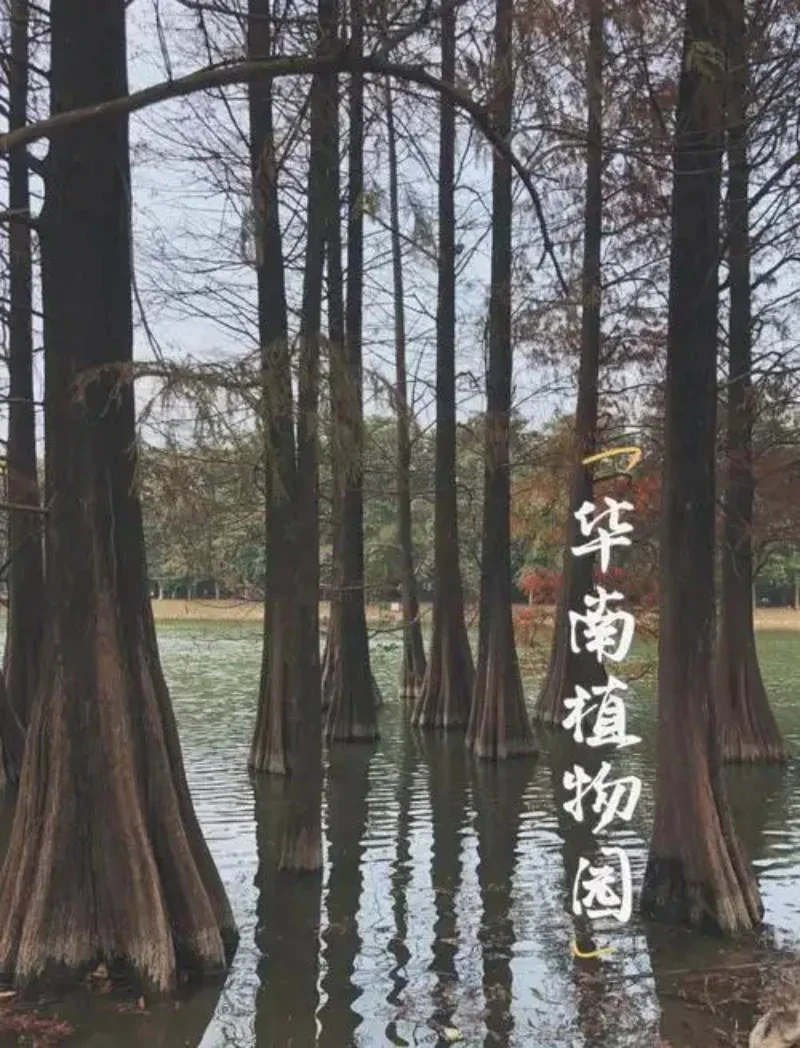 

Paint Pen Supplies Modification Accessories Car Paint Scratch Repair Car Scratch Remover Paint Repair Marker For Volkswagen Bora