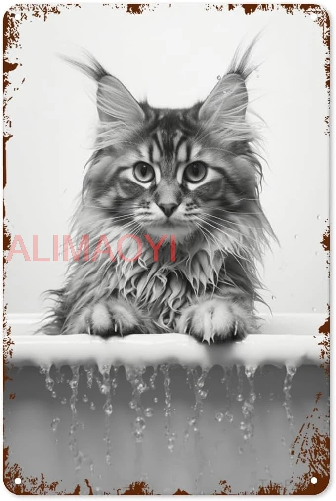 Maine Coon Cat Bathtub Tin Sign Art Poster Metal Home Bathroom Decor Animal Decor Man Cave Vintage Wall Decor Christmas Dec good