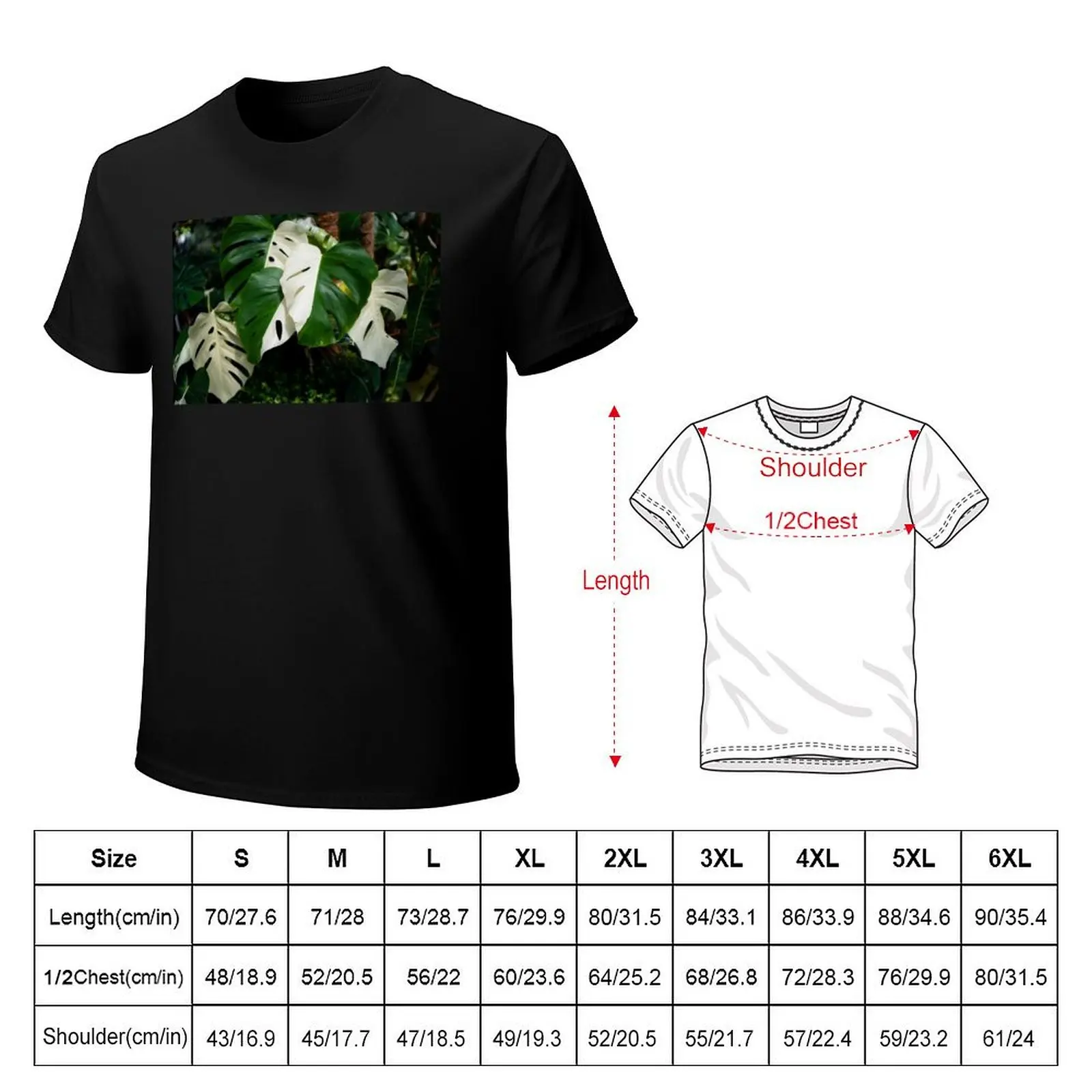 Monstera Albo half moon leaf variegated borsigiana plant in the garden. T-Shirt Anti-Pilling Casual T-Shirt