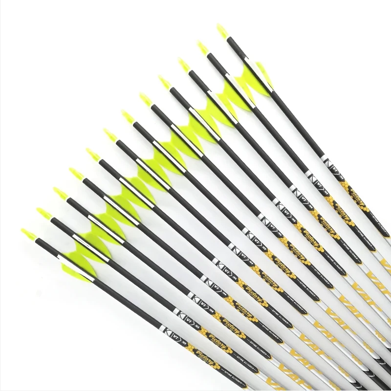 Carbon Arrows for Archery, Longbow and Arrows, Plastic Vanes Recurve Bow, Hunting and Shooting, 350-900 Spine, 30.5in, , 6/12PCs