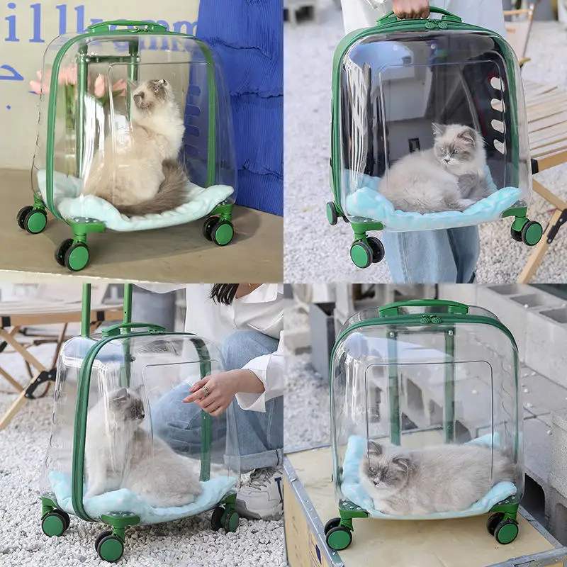 Transparent Cat Luggage Trolley Case Portable Backpack Large Transport Box Silent Wheel Dog Travel Bag Breathable Box