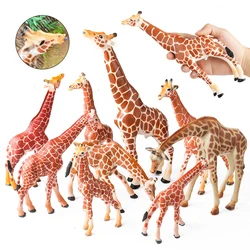 Oenux Zoo Africa Wild Animal Giraffe Simulation Model Action Figures PVC Educational Cute Toy For Kids