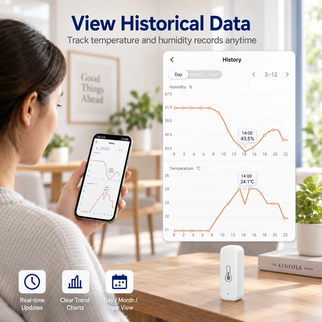 Zigbee対応の温湿度センサー。屋内用スマートホーム温度計 - Digital Hygrometer Probe のレビューと価格
