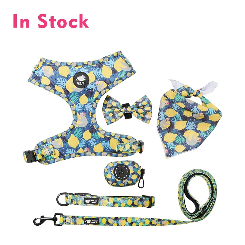 BEEMAN Fashion Printed Nylon Dog Harness Vest Reflective No Pull Dog Harness Leash Set For Small Medium Dogs Cats French Bulldog