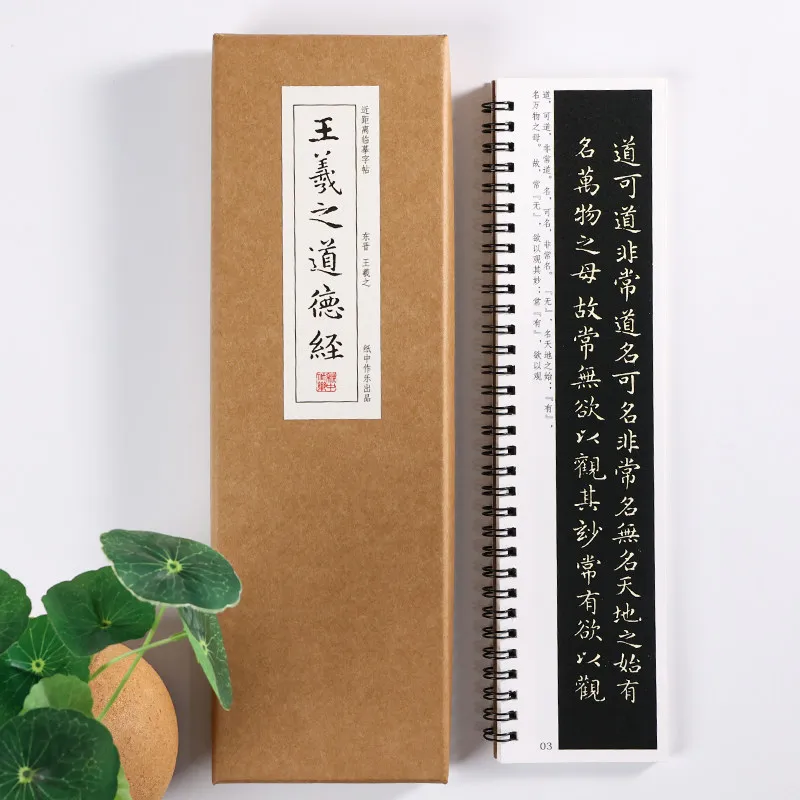 Wang Xizhi Small Regular Script Calligraphy Tracing Copybook Dao De Jing for Beginners Adults Practice Brush Art Supply