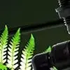 

Rainforest Tank Timing Spray System Atomization Set Climbing Pet Turtle Box Intelligent Spray High Quality Low Noise