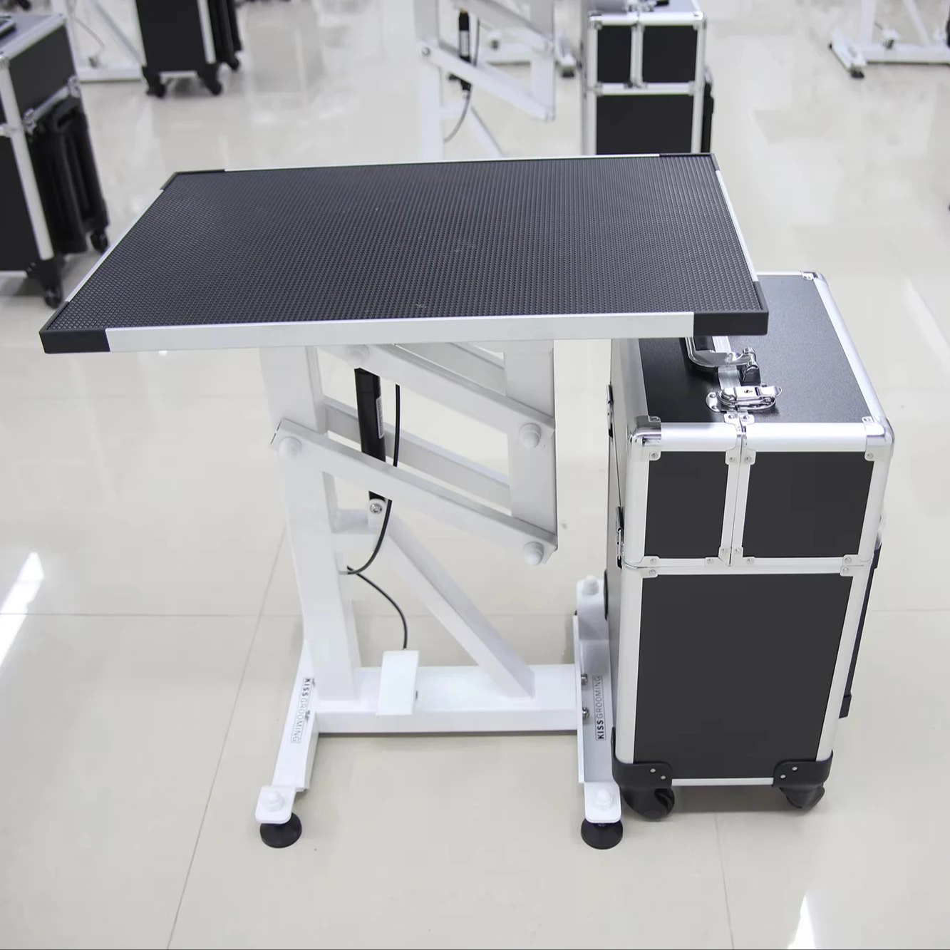 

2026 Stainless Steel Cat Dog Grooming Table Air Lifting Adjustable Pet Supplies Professional Teaching / Training Table