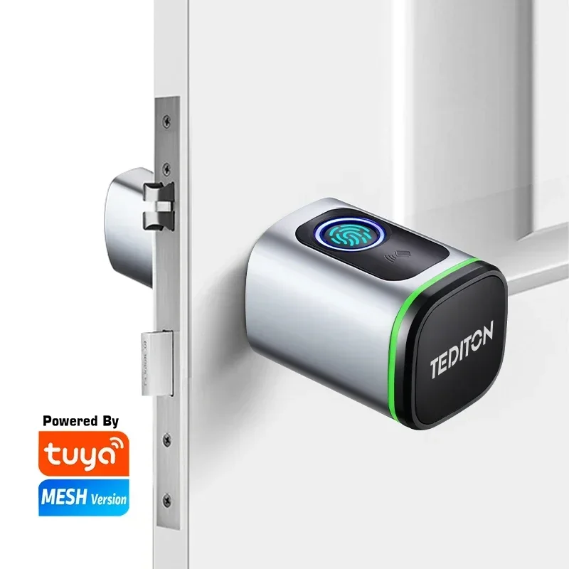 New Tediton Cerradura Wifi Tuya Wifi Portable Intelligent Biometric Fingerprint Cylinder Lock Tuya Digital Smart Lock