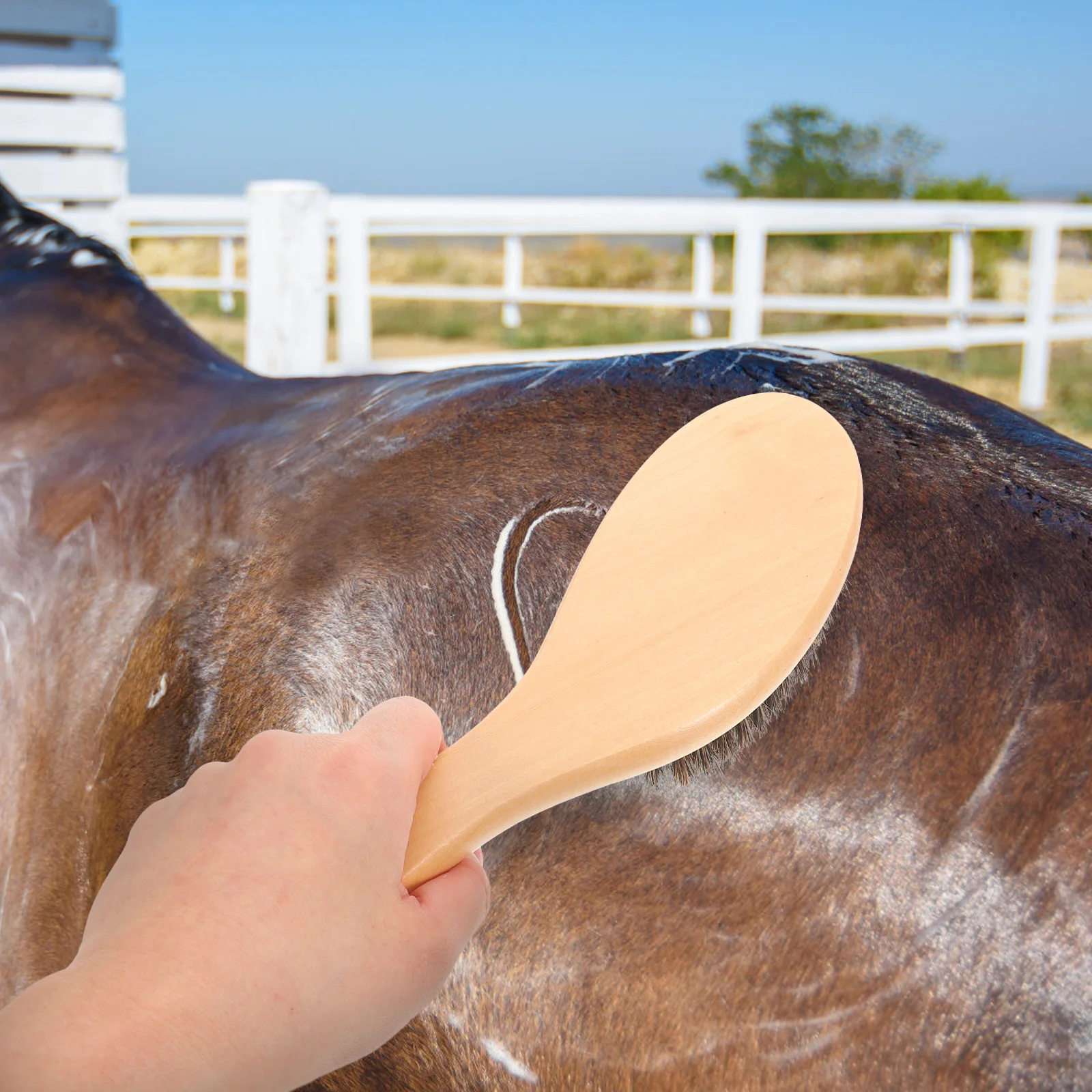 

Horse Grooming Brush Soft Bristle Comfortable Grip Effective Cleaning Portable Cattle Grooming Tool Cattle Fur Brush