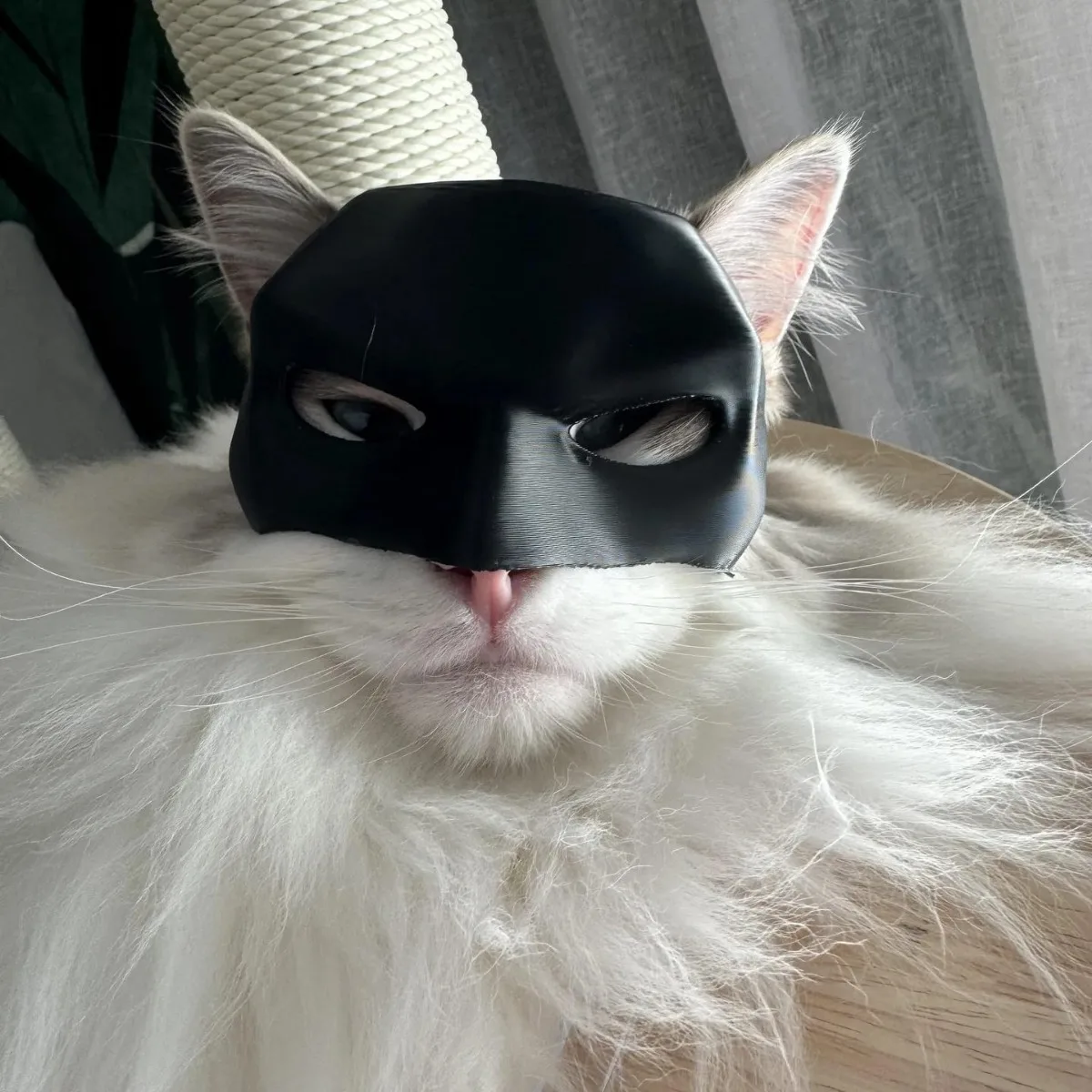 Black Cat Bat Mask Creative Half Face Cat Mask Handmade 3D Printed Decorative Cat Face Mask for Halloween Cosplay