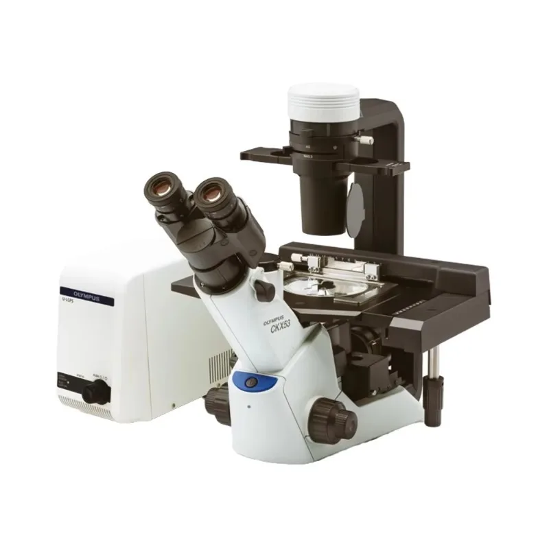 Inverted Phase Contrast Microscope Clinical Analytical Instruments Class II 1 Year Warranty
