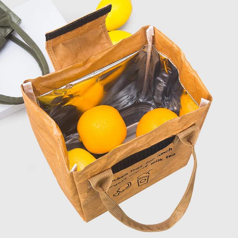 Insulated DuPont Paper Lunch Bag Foldable Reusable Leakproof Large Capacity Thermal Food Container for Work Outdoor Cooler
