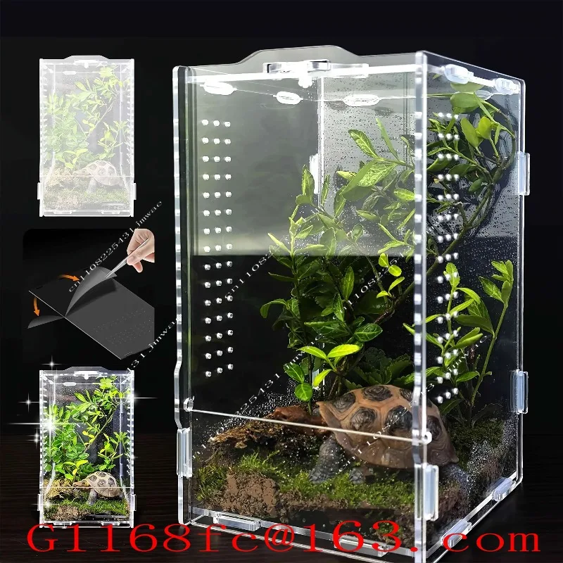 Acrylic Feeding Box Climbing Pet Spider Insect Mantis Feeding Box Arboreal Tree Frog High Transparent