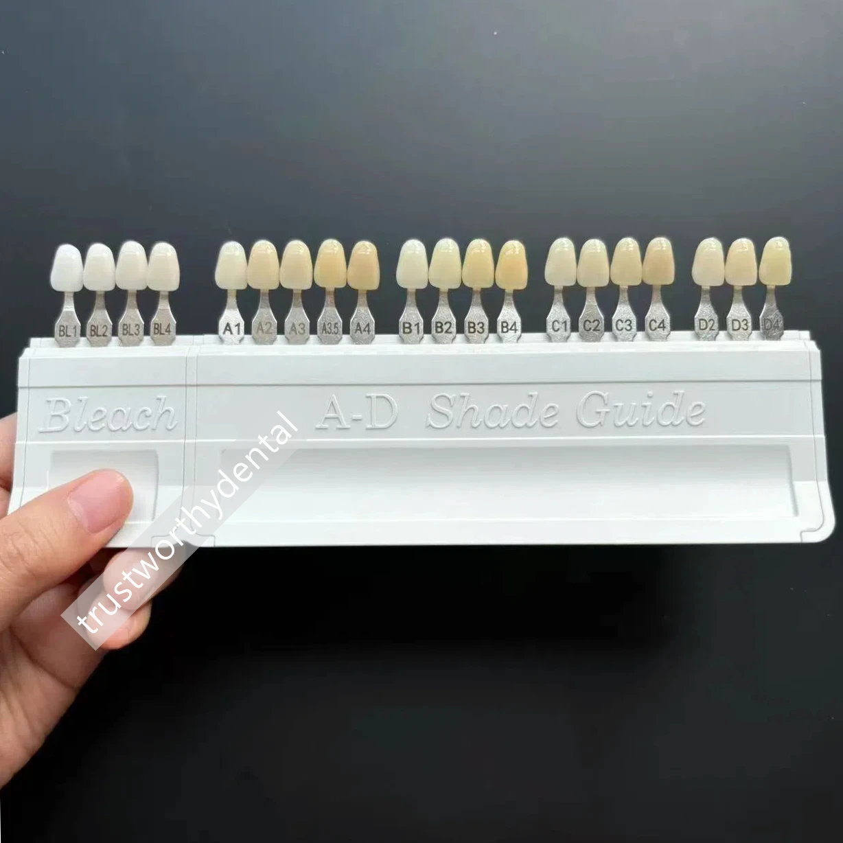 歯科用 A–D シェード ガイド、漂白剤シェード付き 取り外し可能な漂白