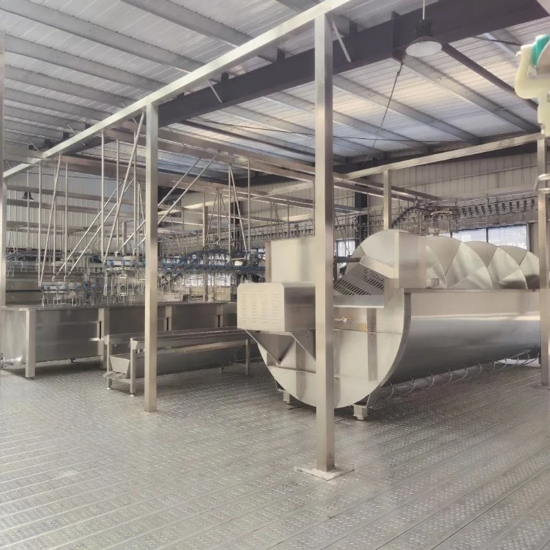 Halal Poultry Chicken Slaughtering Line Chicken Slaughter Machine for Poultry Processing