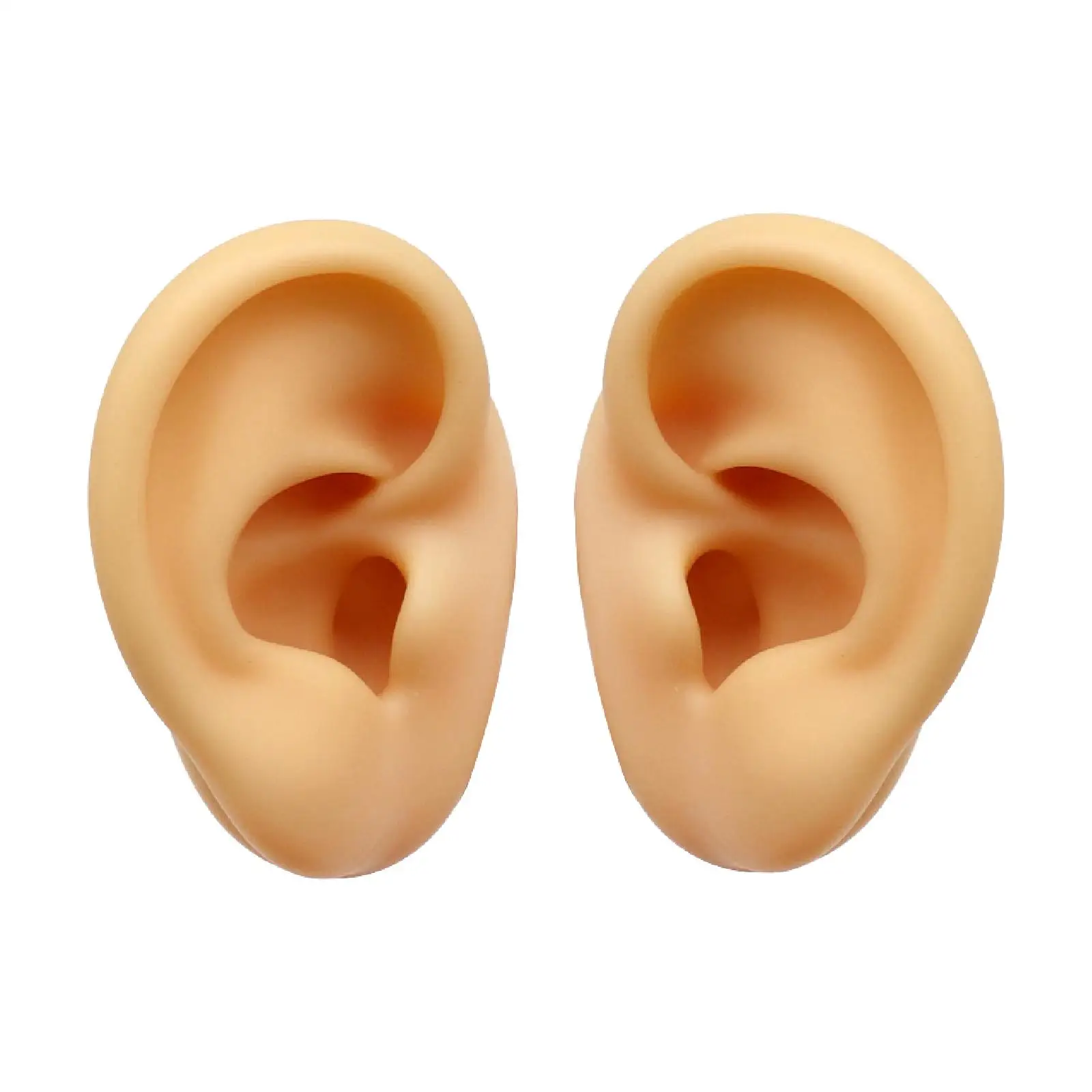 

Silicone Ear Model Soft Artificial Simulation for Selling Showcase Ear Studs