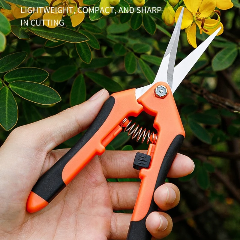 Grape Scissors Gardening Pruning Scissors Fruit Picking Scissors For Branch And Seedling Pruning