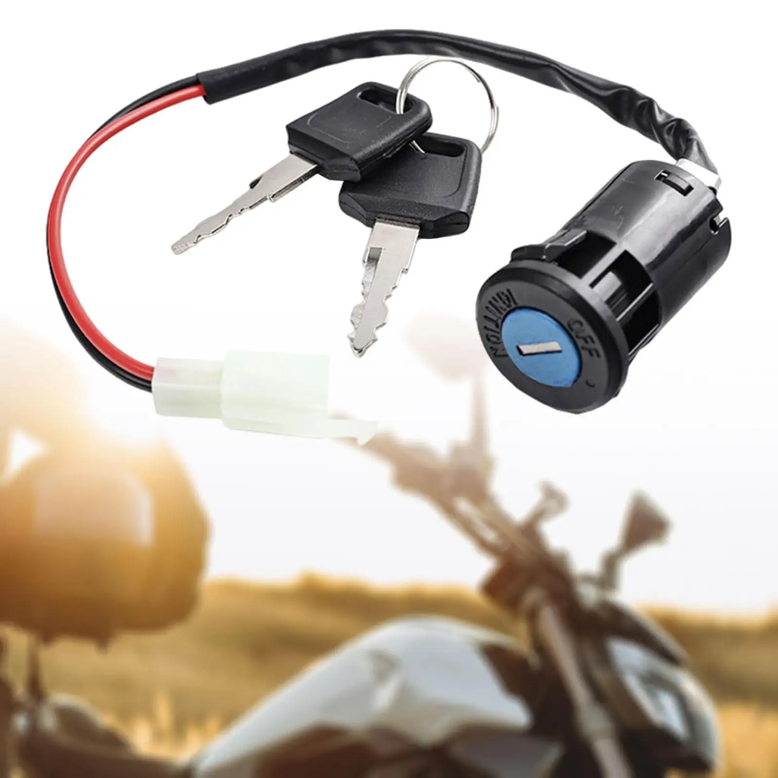 Generic Ignition Switch with Keys 2 Pin for Mini Bikes Moped Scooter