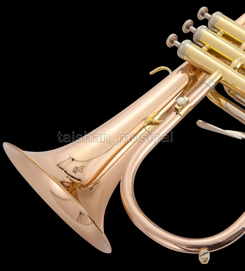 

phosphor copped Flugelhorn quality FLUGEL 1.33KG Amado Waterkeys With Case 2025