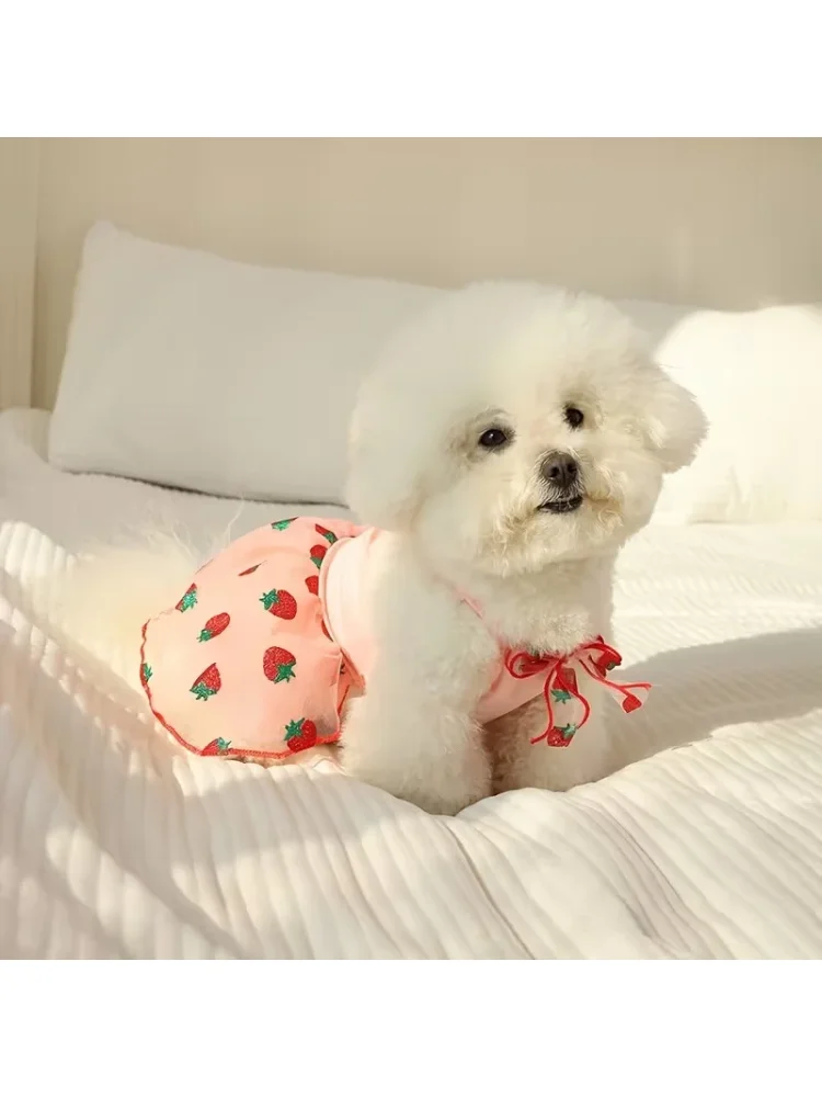 夏用薄手子犬用プリンセススカート犬服可愛いペット犬用ドレス小 - Pet Supplies York のレビューと価格