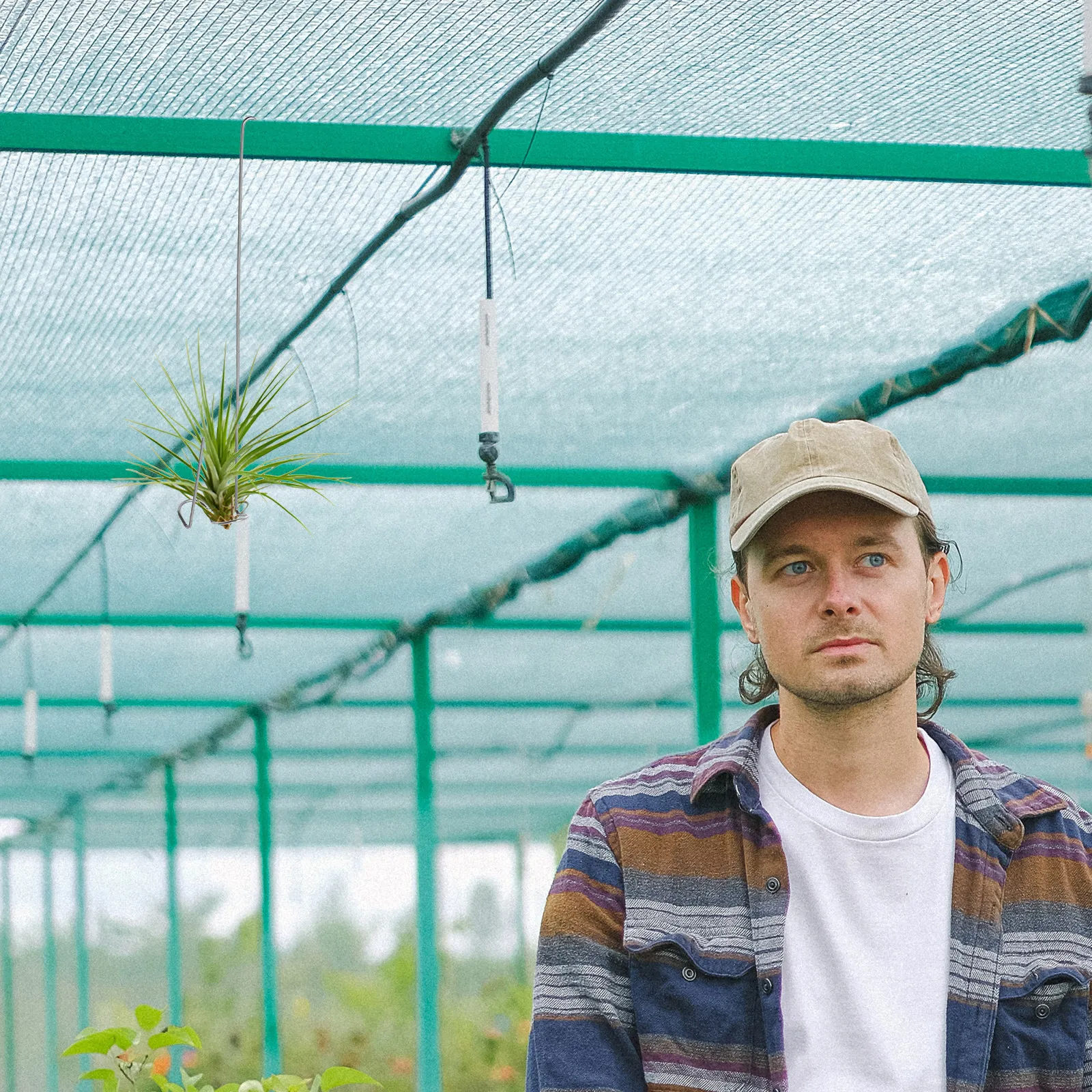 4 Peças de Ganchos de Aço Inox - Air Plant Tillandsia avaliação e preço