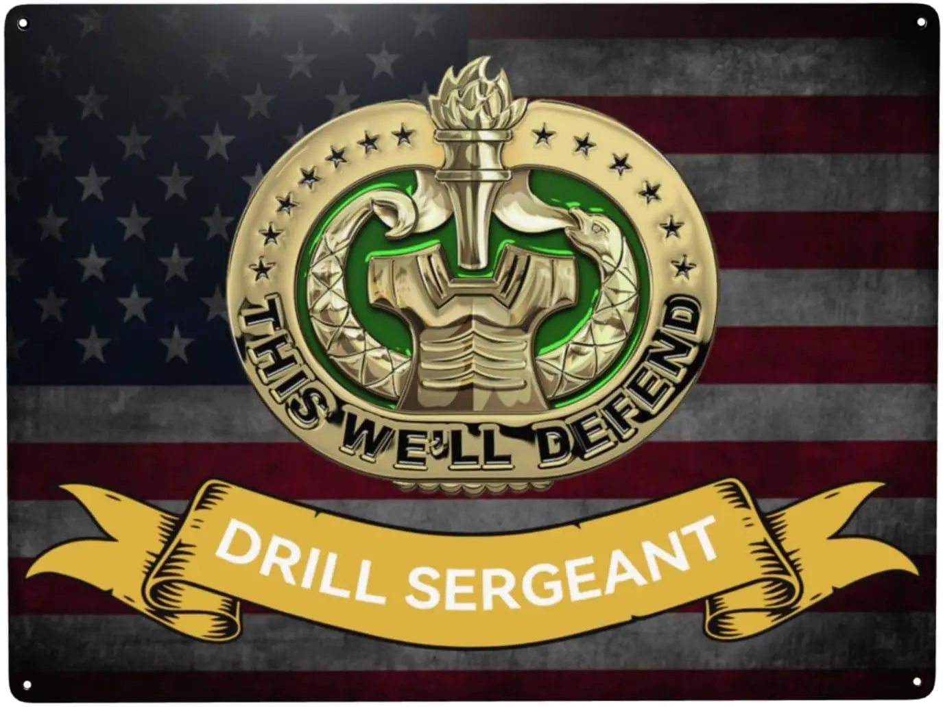 Drill Sergeant Unique Metal Sign Decor - : Elevate Your Home, Street, And Business Ambiance
