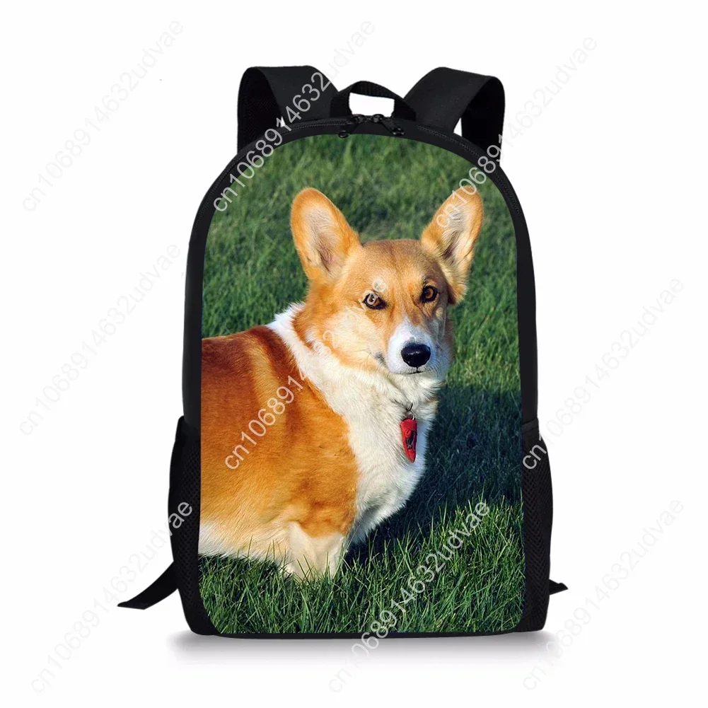 Mooie Dieren Welsh Corgi Pembroke Print Kinderen Schooltassen Orthopedische Rugzakken Kinderen Meisjes Jongens Schooltas 3d 2021