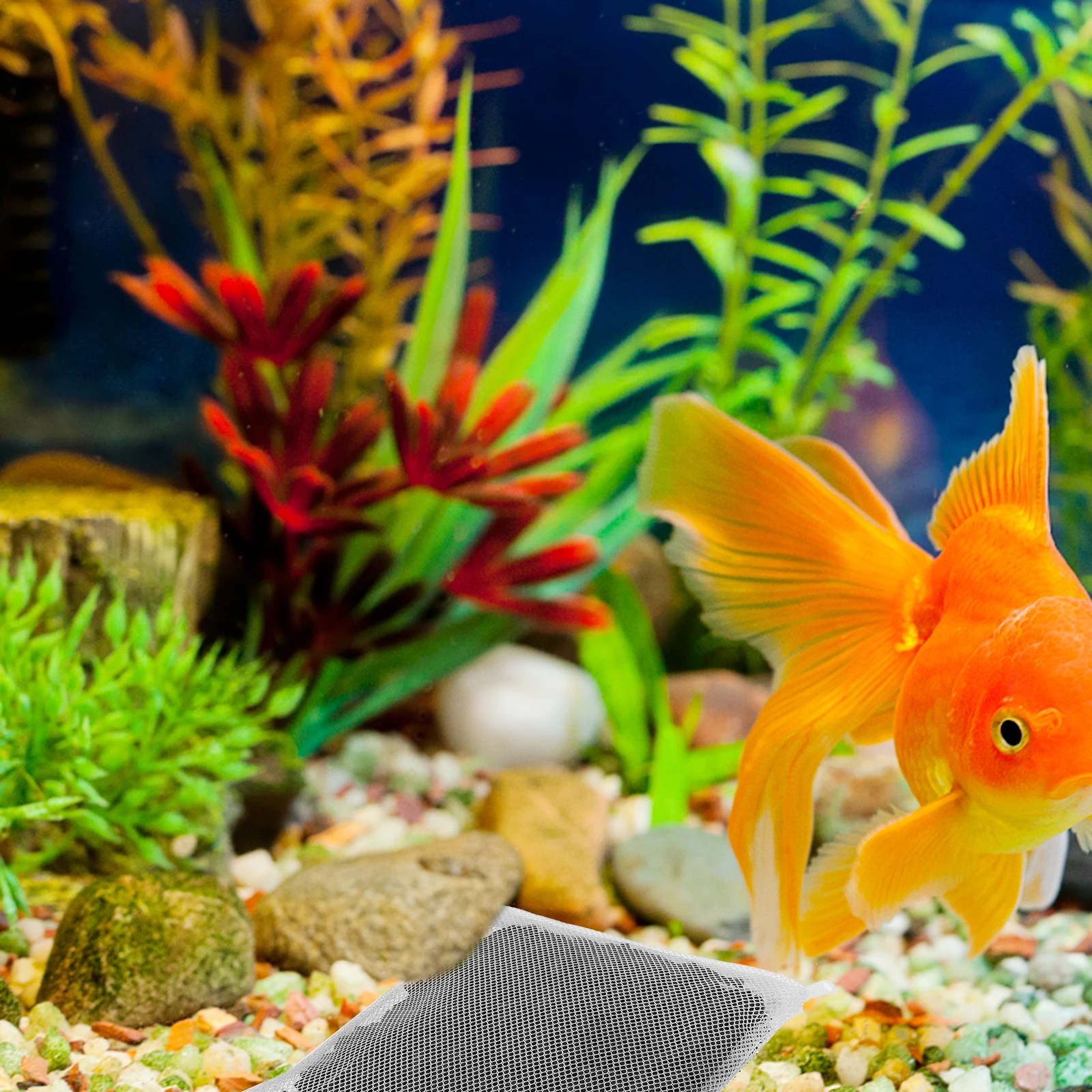 

2Pack Aquarium Charcoal Pellets High Density Design Fish Tank Filtering Supply Clean Environment for Pets Aquarium