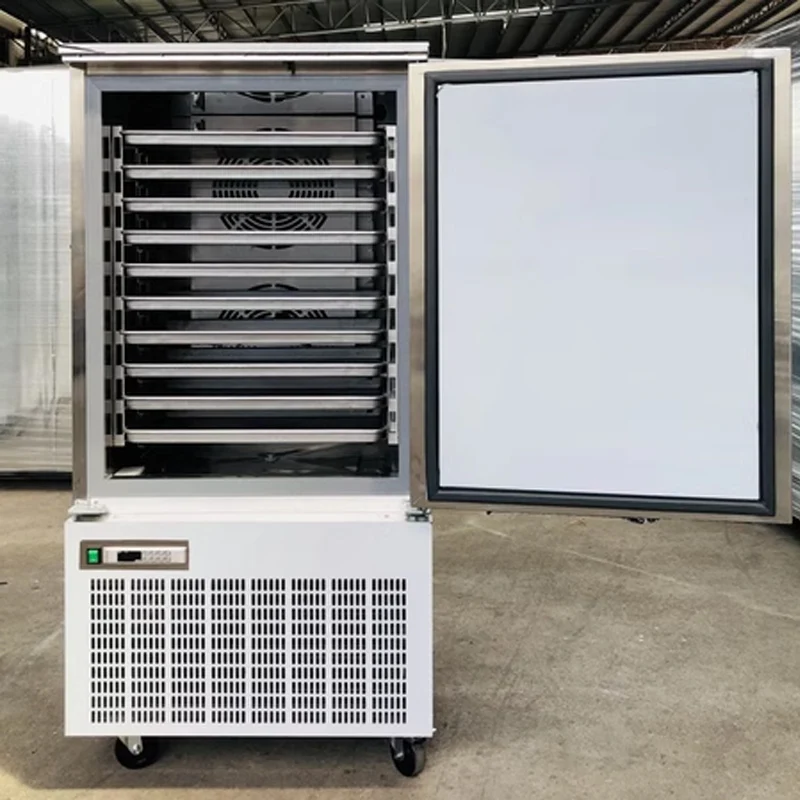 

10 Trays Industrial Low Temperature Big Capacity Fast Speed Freezer Acier Inoxydable Plug-In Meat/Seafood Quick Machine