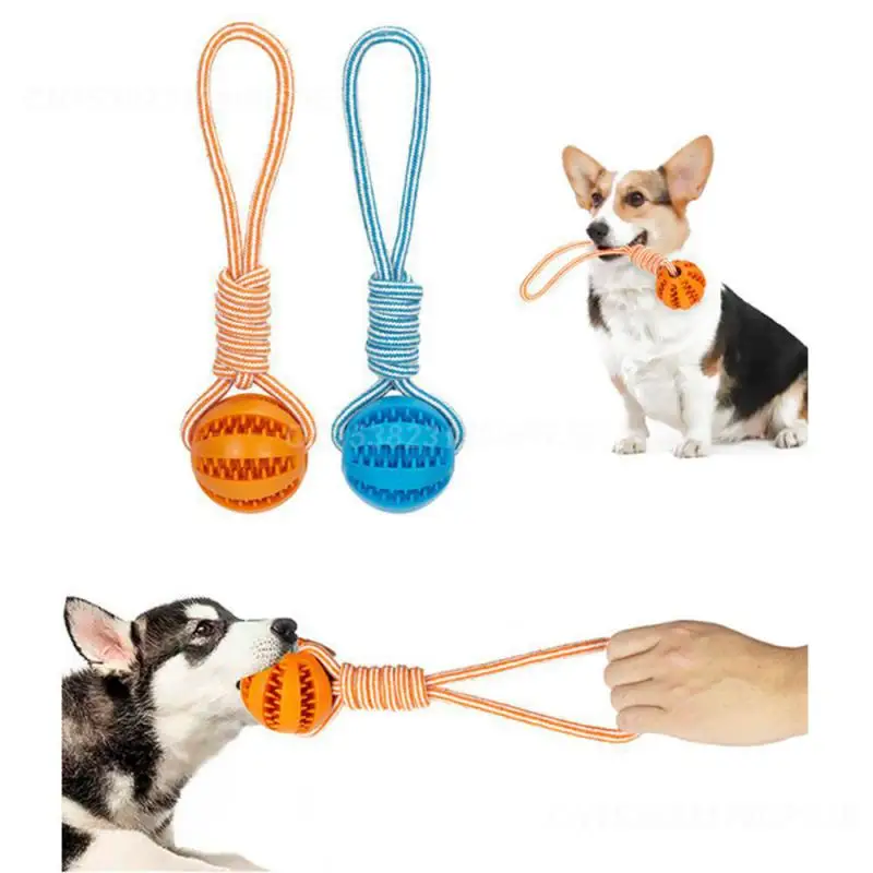 Dog Toy Bite Resistant Material Snack Distribution Easy To Clean Popular Dog Toys Safety Material Must-have Pet Toys Bouncy Ball