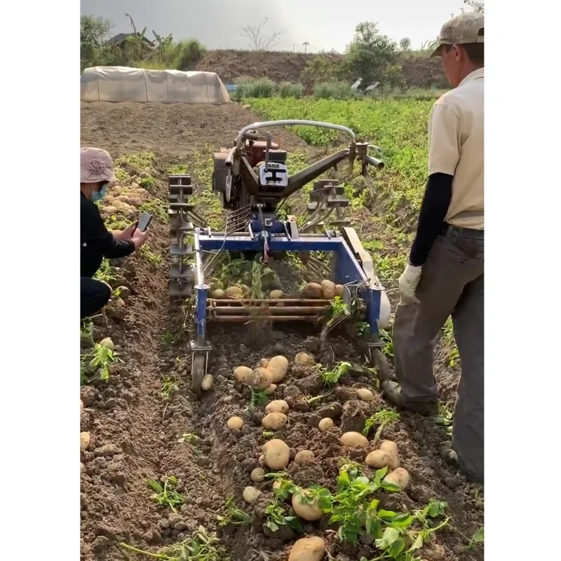 potato harvester belt mini potato harvester with walking tractor