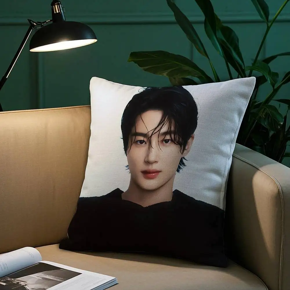 B-Byeon W-Woo-seok Korea Pillow Case Short Plush Print Cushion Cover Square Throw Pillow Covers Sofa Home Decor