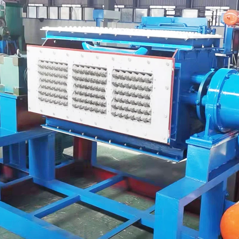 Recycled Paper Pulp Egg Tray Machine, Replaceable Mold Egg Tray & Fruit Tray Making Equipment for Eco Packaging
